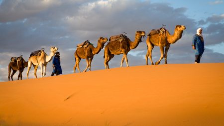 Dunes de chegaga