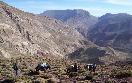Trek du Mgoun au Dades