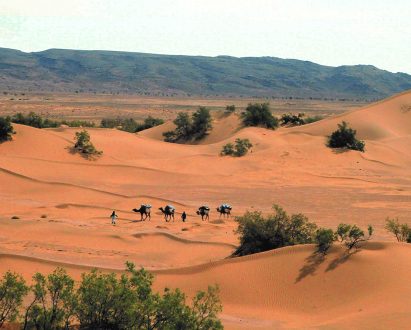 La vallée du Draa, oued mythique