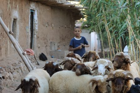 Rencontres en terres berbères