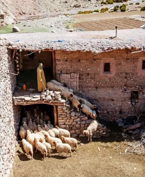 Villages berbères et hautes vallées du Toubkal – Image 4