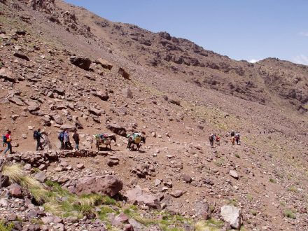 Ascension Toubkal et djebel Ouanoukrim