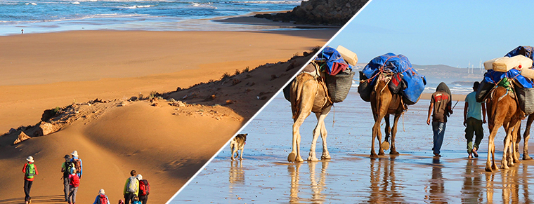 Dérive atlantique sur les rivages d’Essaouira