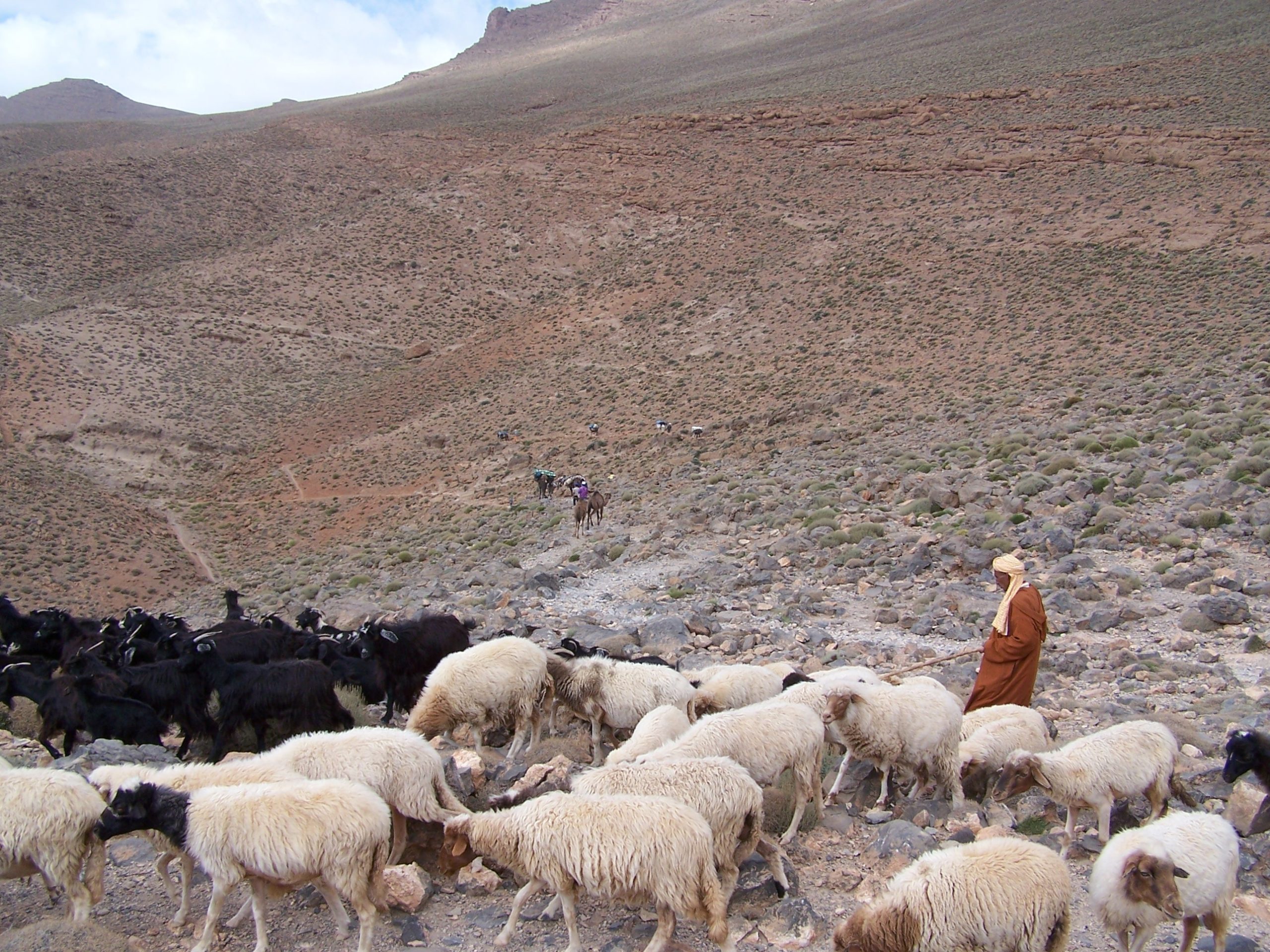 Sentiers nomades du Moyen Atlas
