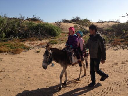 Chameau sur l’eau randonnee famille cote atlantique