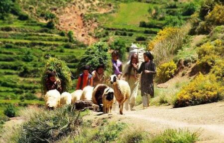 Sentiers berbères et villages du Toubkal