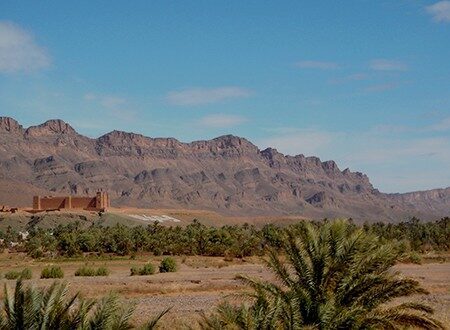 Oasis et dunes sahariennes