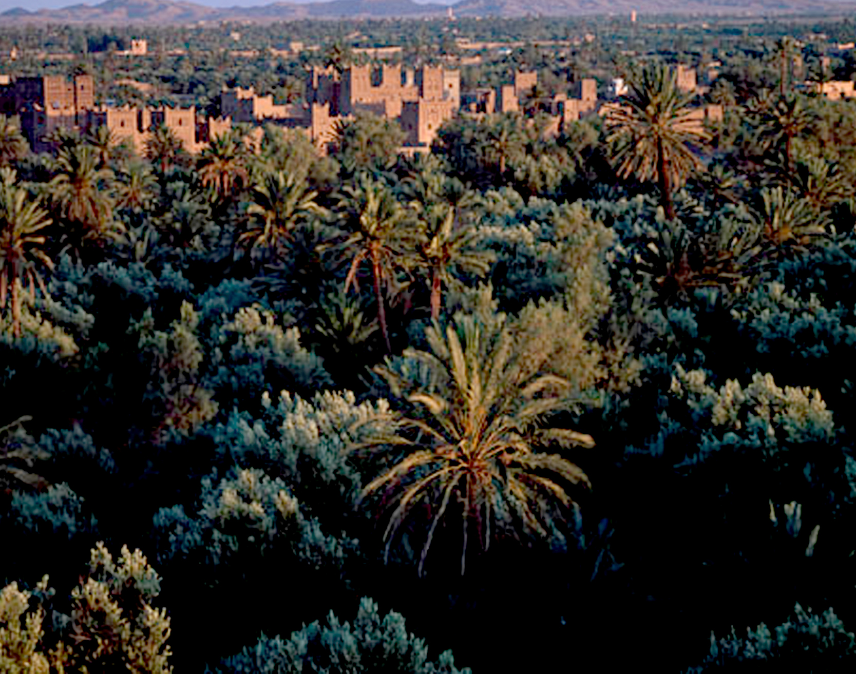 Echappée belle dans le sud marocain