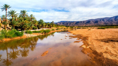 Oasis et dunes sahariennes