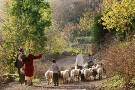Excursion villages berbères du Toubkal