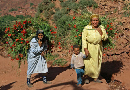Excursion villages berbères du Toubkal