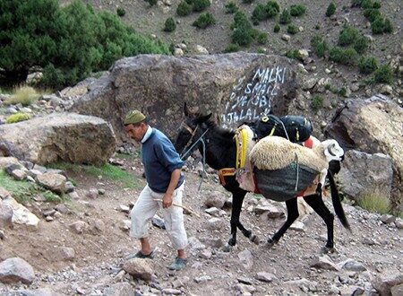 Journée randonnée villages berbères du Toubkal