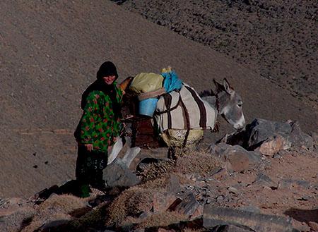 Transhumance avec les nomades du Maroc du Saghro au Haut-Atlas