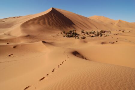 Villes imperiales et sud marocain