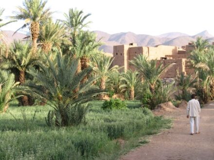 Maroc jardins de l’Atlas et oasis du sud marocain