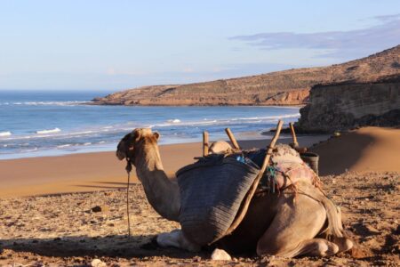 Dérive atlantique sur les rivages d’Essaouira