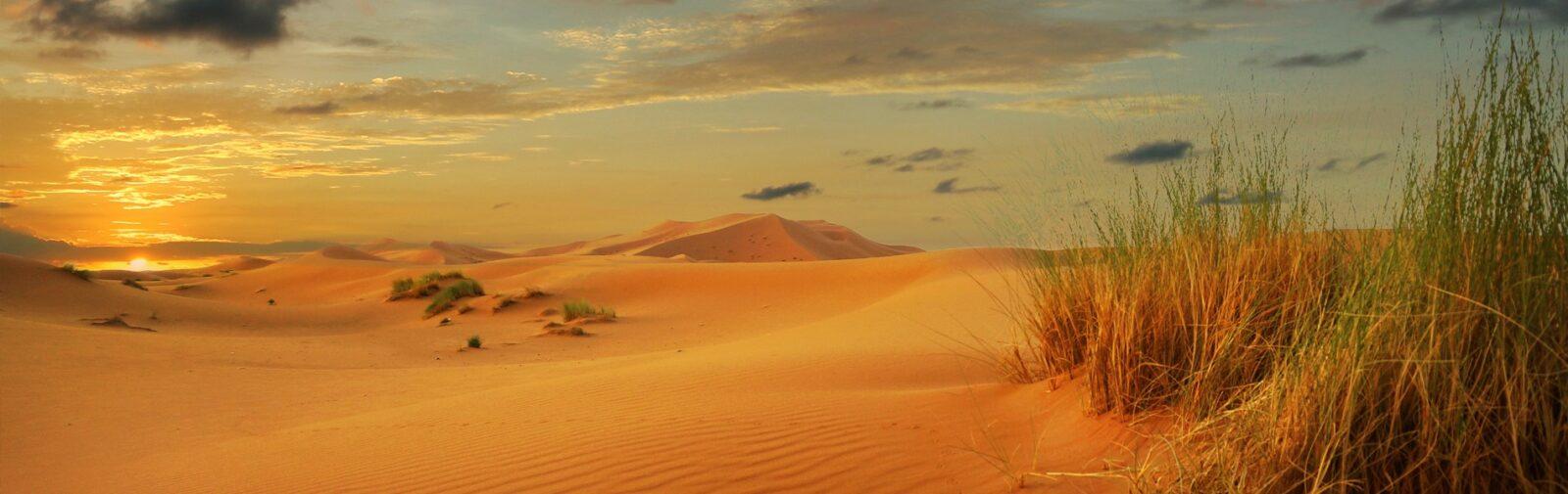 voyage desert marocain
