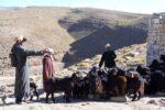 Terres nomades Moyen-Atlas