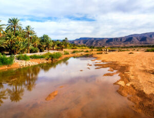 oasis-desert-marocain